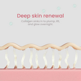 Collagen Jelly Cream with Niacinamide
